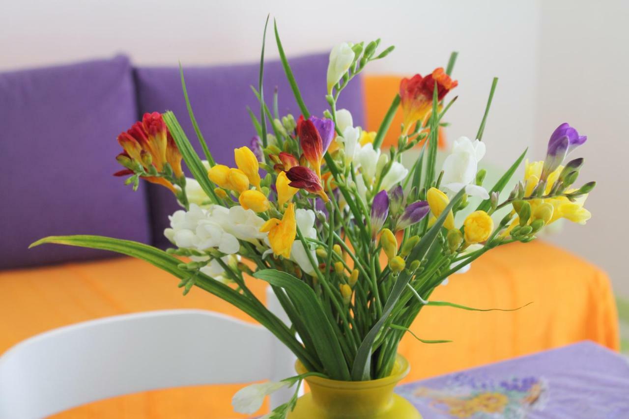 Apartments Nejasmic - Little House For Peaceful And Domestic Vacation Bol Exteriör bild