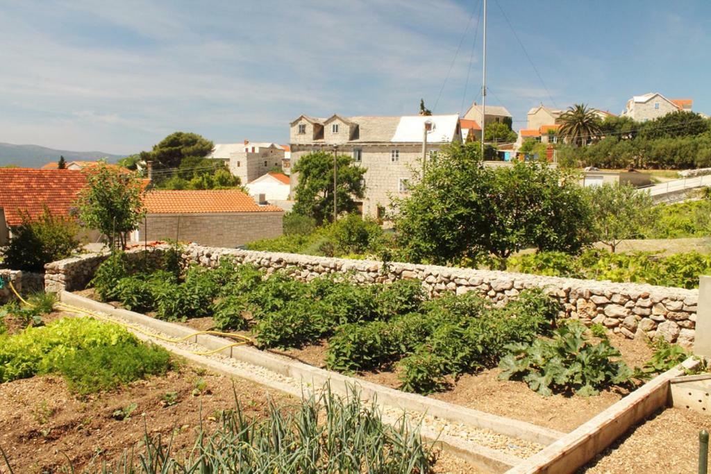 Apartments Nejasmic - Little House For Peaceful And Domestic Vacation Bol Exteriör bild